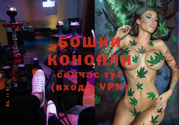 прущие грибы Вязники