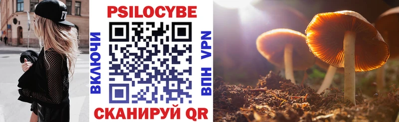 Псилоцибиновые грибы GOLDEN TEACHER  Няндома 